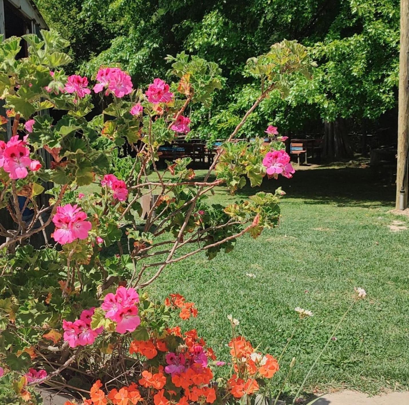 Cabanas Faro Delta Tigre Exterior photo